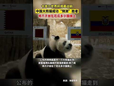 西漢姆聯半,決賽首戰以,逆轉勝阿爾,55125中国彩吧,彩票分析,数据预测,彩票平台,在线投注